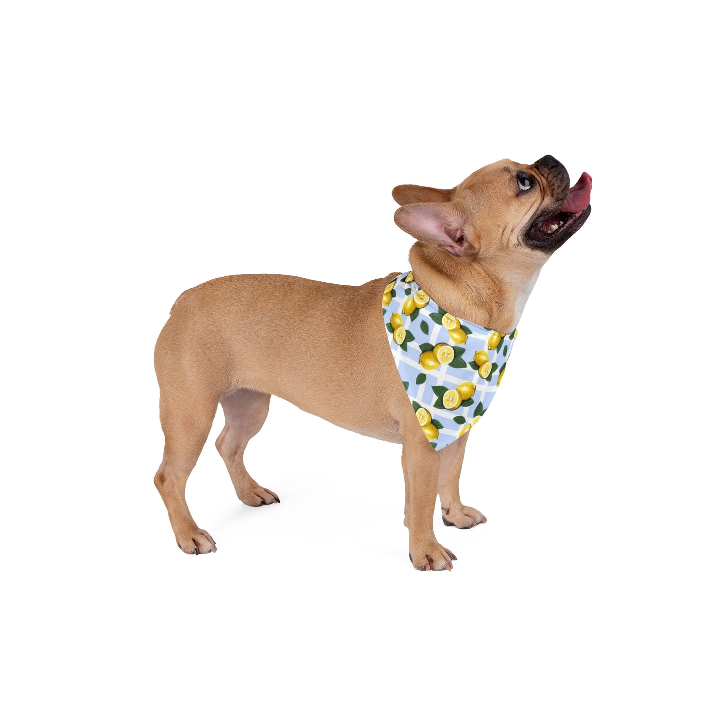 Lemons Dog Bandana